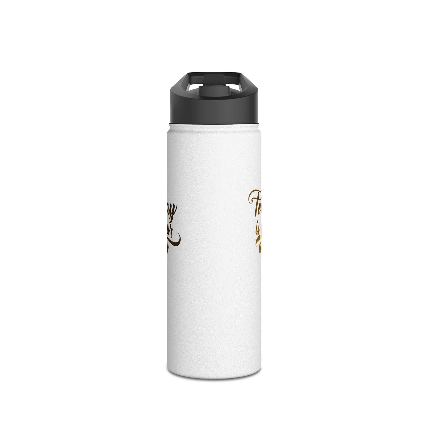 eco-friendly stainless steel water bottle - stay hydrated in style