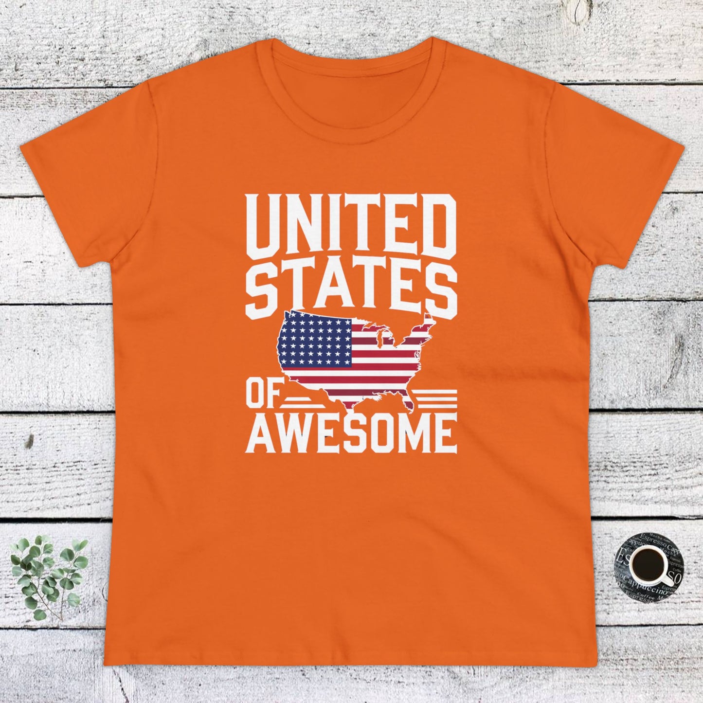 women's t-shirts, women's tee, funny gift, united states of awesome!