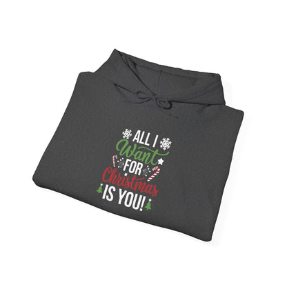 Men's and Women's Christmas Sweatshirt. All I want for Christmas is you. Unisex Christmas Sweatshirt.